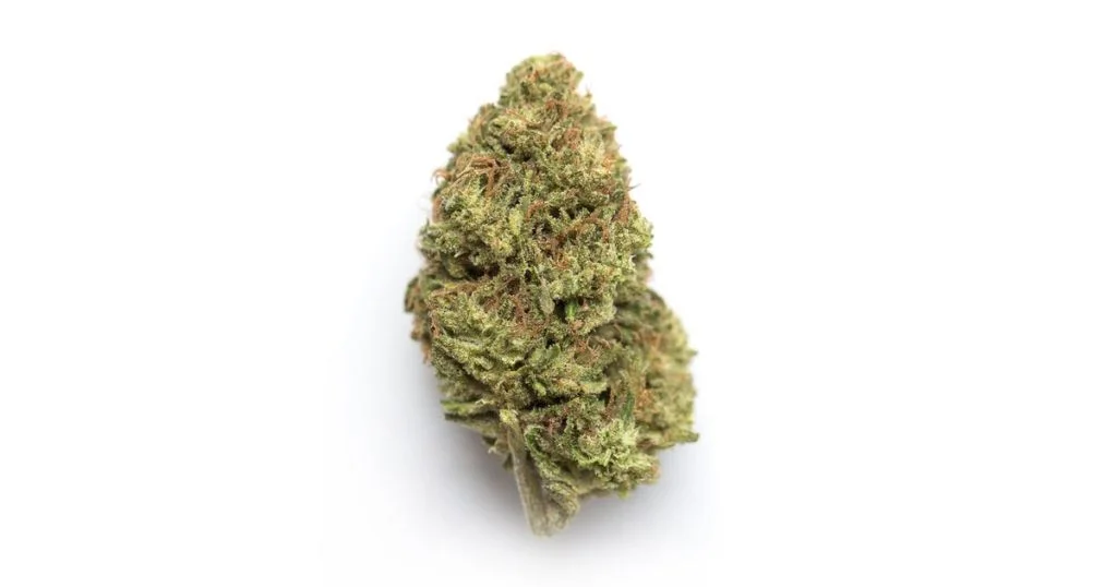 Gold Spectrum - Rocky Mountain Blueberry  (3.5G) Sativa