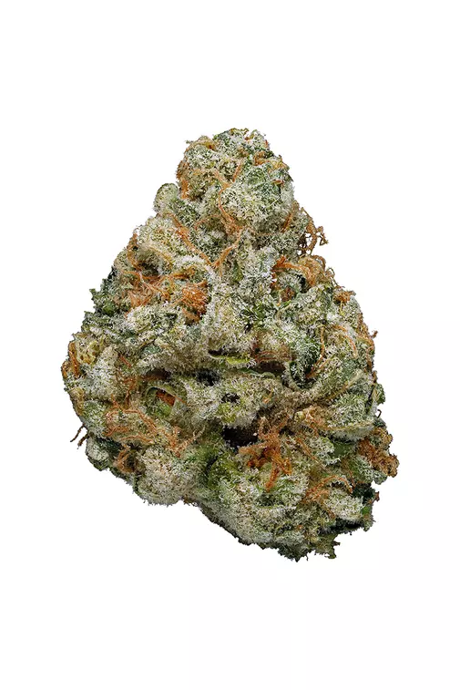 CBD- Candyland (3.5G) Sativa