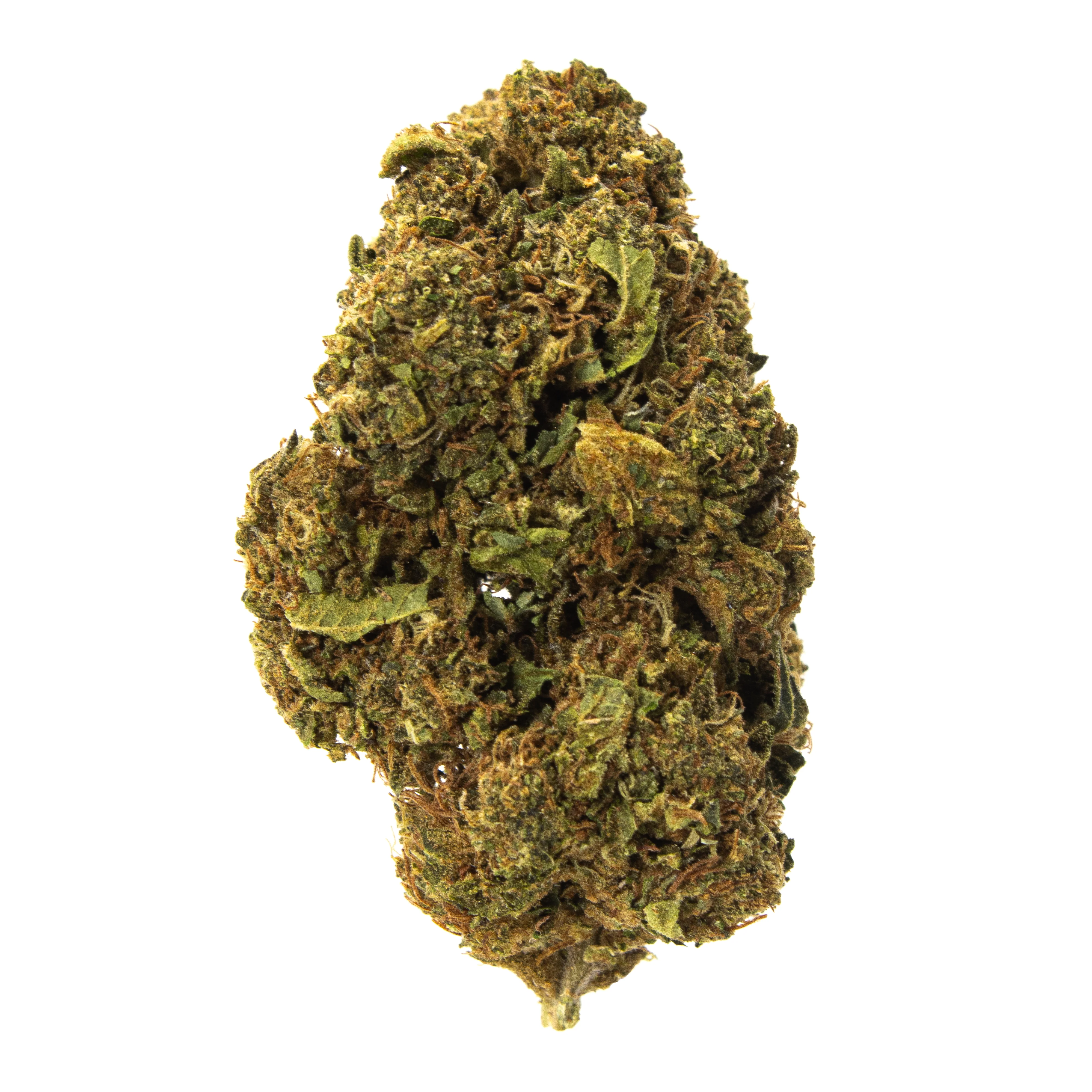 Gold Spectrum- Rainbow Sherbet (7G) Indica
