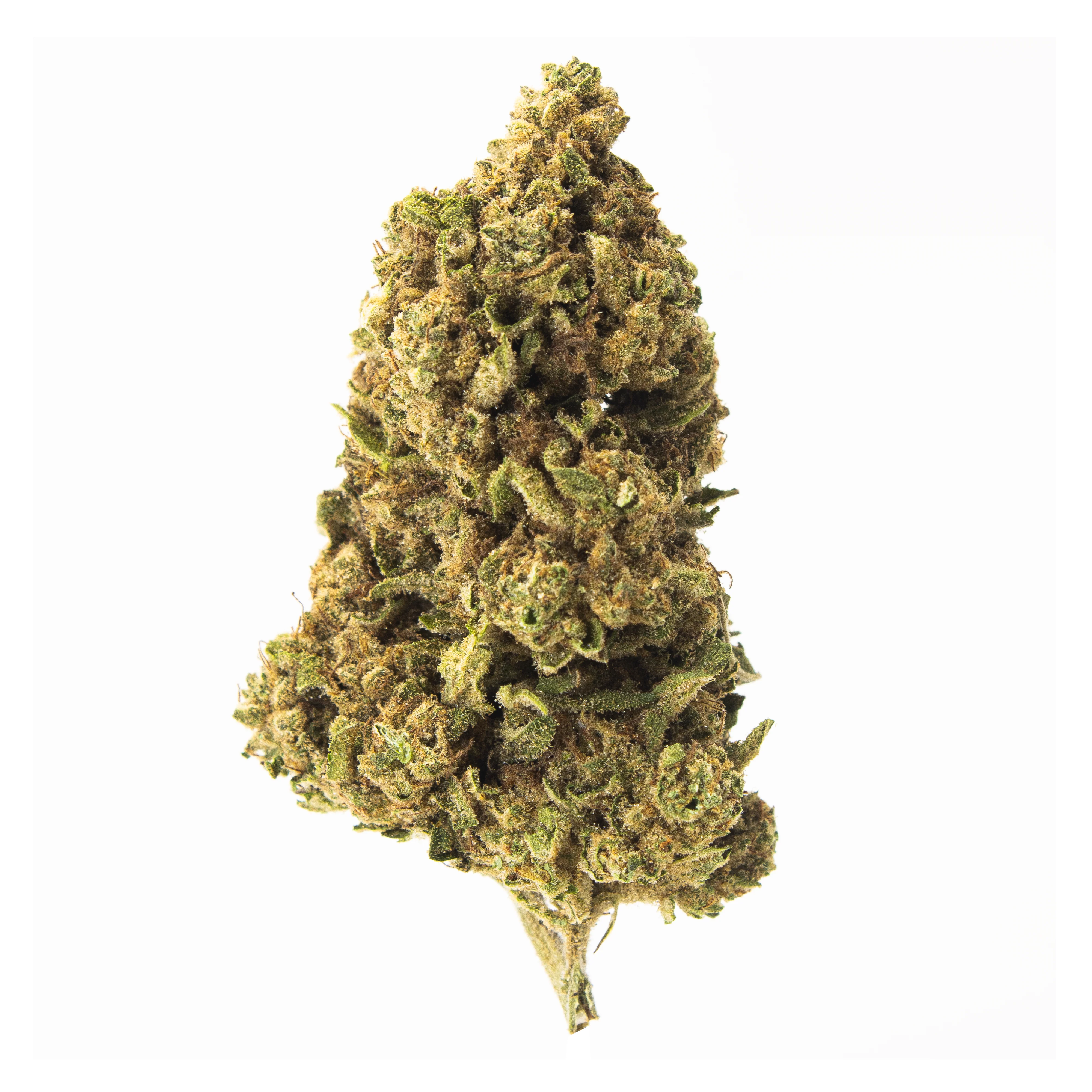 Gold Spectrum- Jet Fuel OG (7G) Sativa