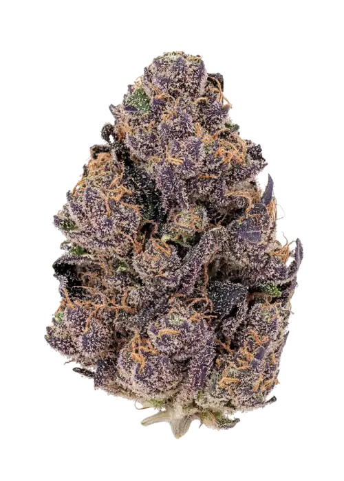 Blessed Herbs-Stardust (3.5G) Indica