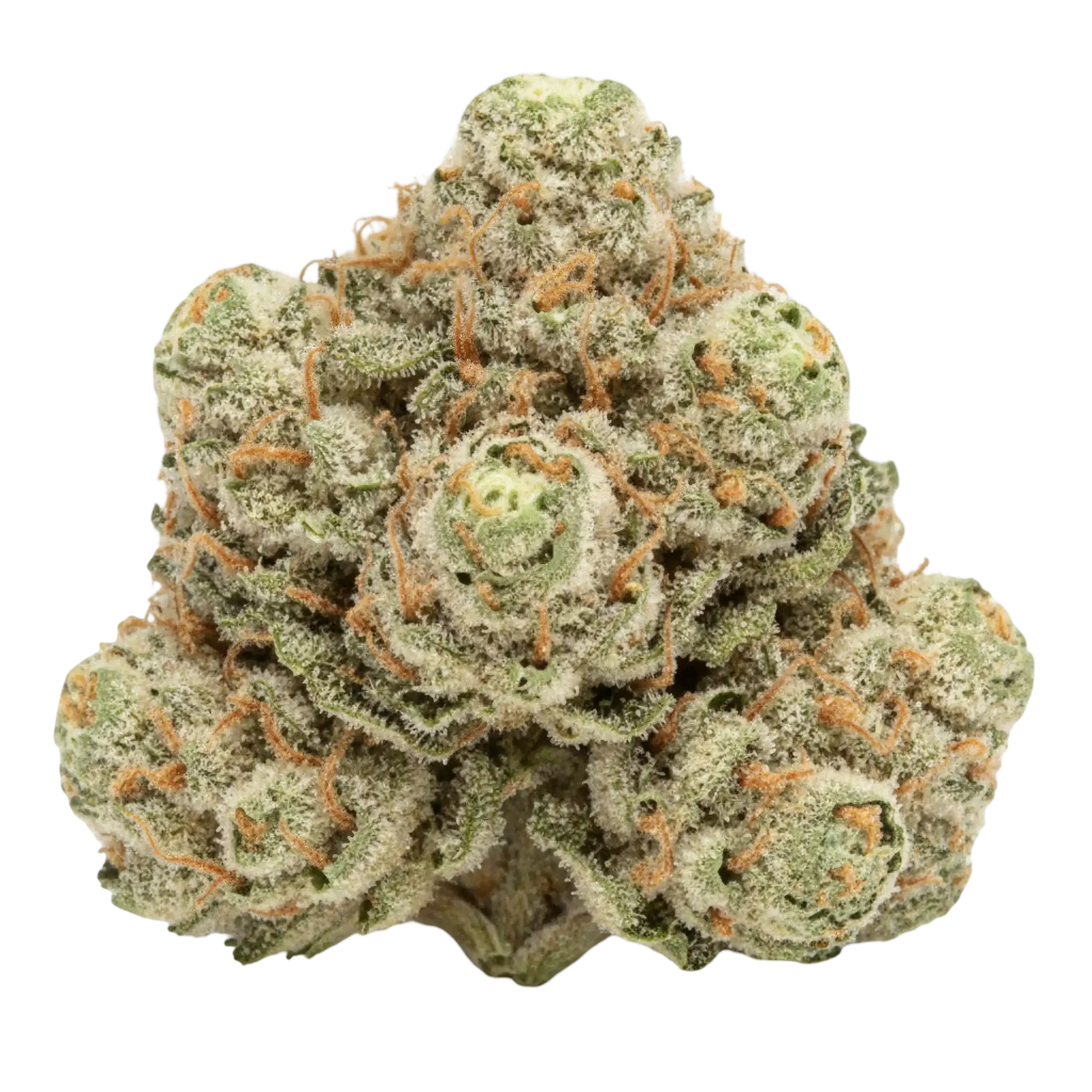 Bodega Boyz - Zoap (3.5G)  Sativa ( Hybrid )
