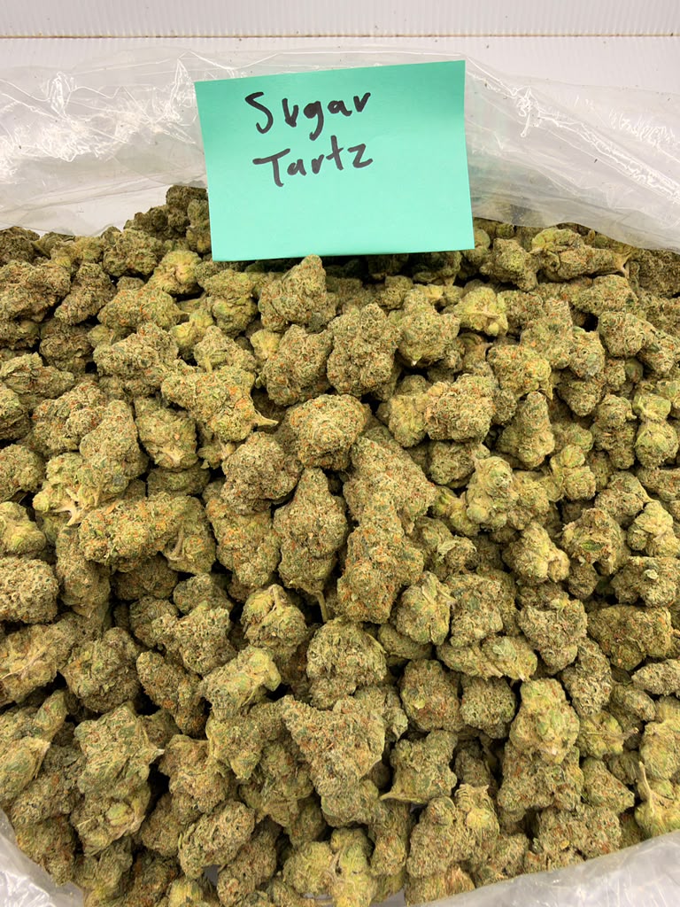 Bay Smokes- Sugar Tarts (3.5G) Sativa- Hybrid