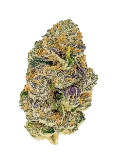 Creating Better Days-Mochie Mousse (3.5G) Hybrid