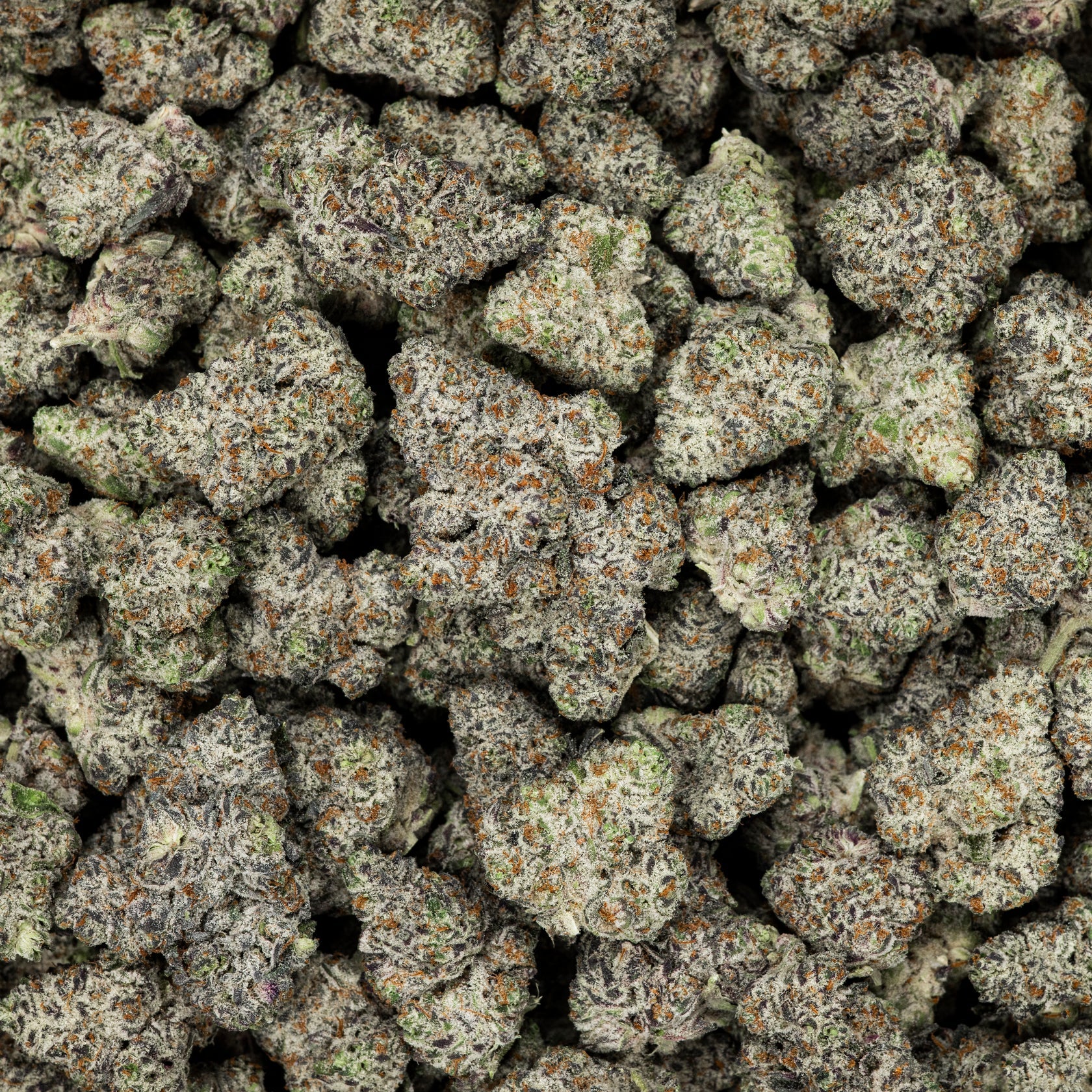 White Truffles Pre-Packed 3.5G