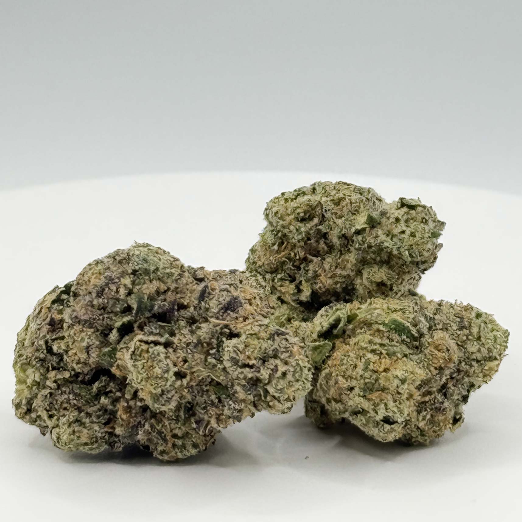 White Truffle (Indica)