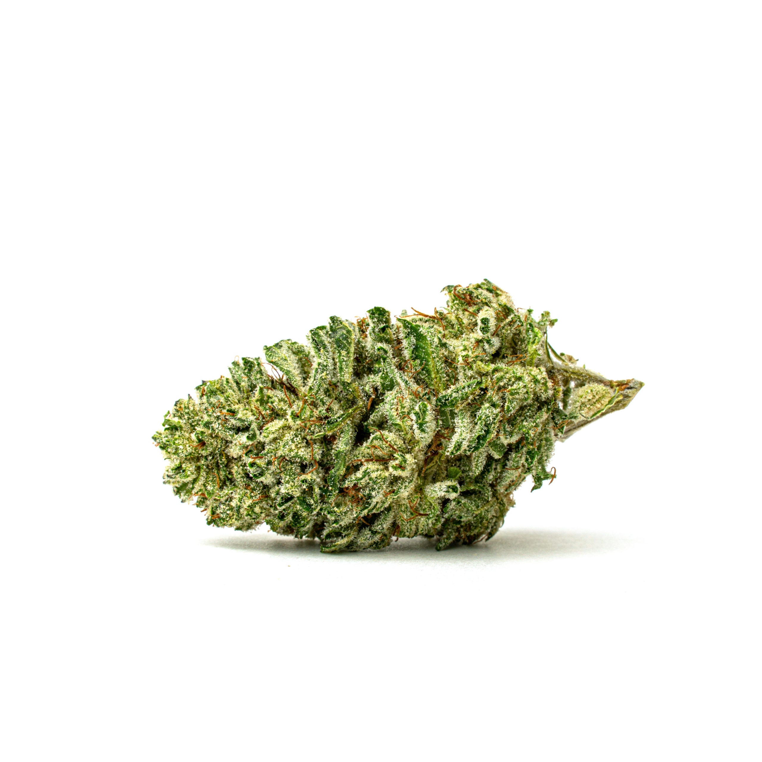 Blessed Herbs - Life Hack (3.5G) Hybrid