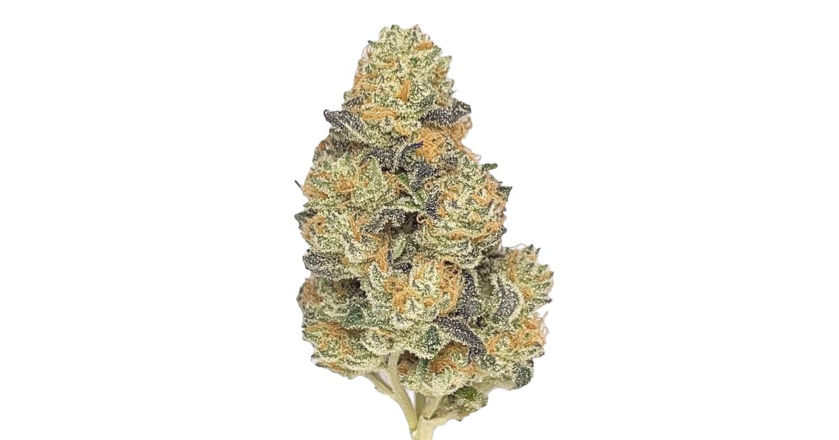 Bodega Boyz-Unicorn Poop (3.5G) Indica
