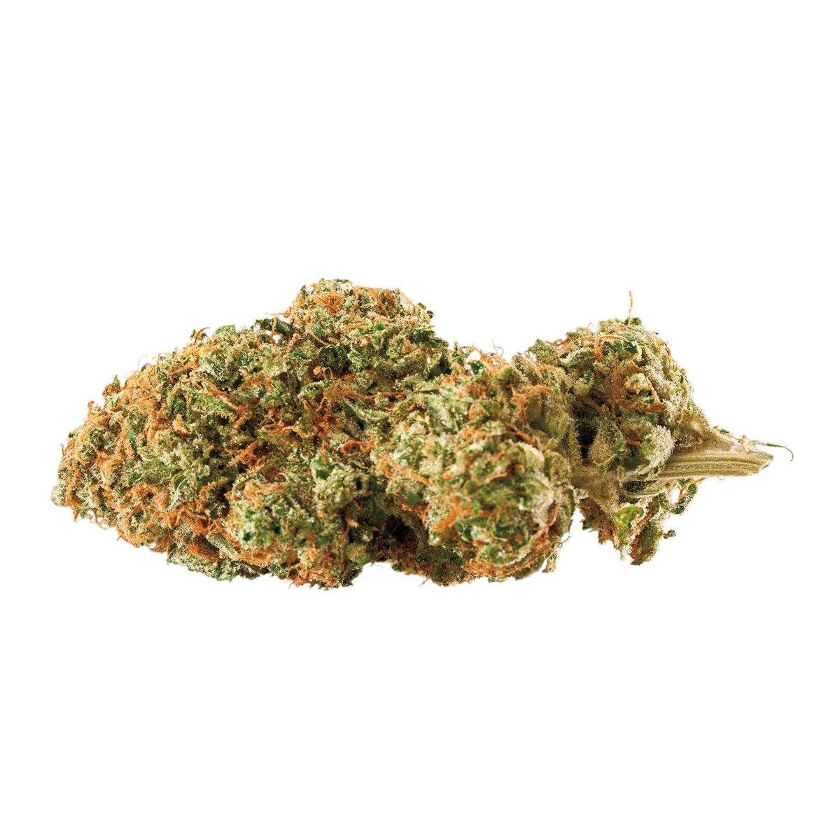 Bodega Boyz- Durban Z (1G) Sativa (Hybrid)