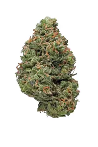 Blessed Herbs- Big Buddha Cheese (3.5G) I (Hybrid)