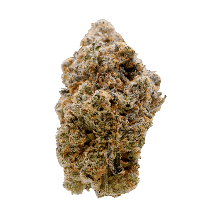 Bodega Boyz - BLUE SLUSH FUEL  (3.5G) INDICA