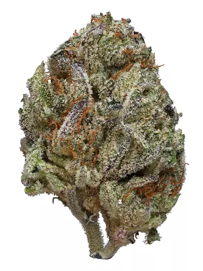 Blessed Herbs-Black Ice (3.5G) Indica