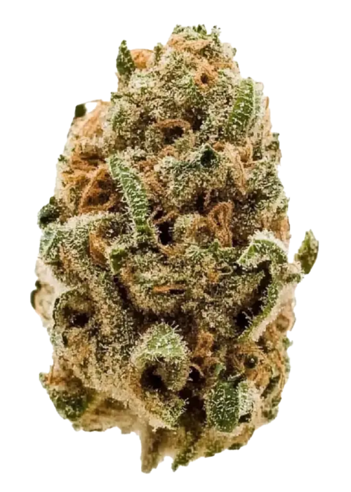 Gold Spectrum- Blueberry Trainwreck (3.5G) Hybrid