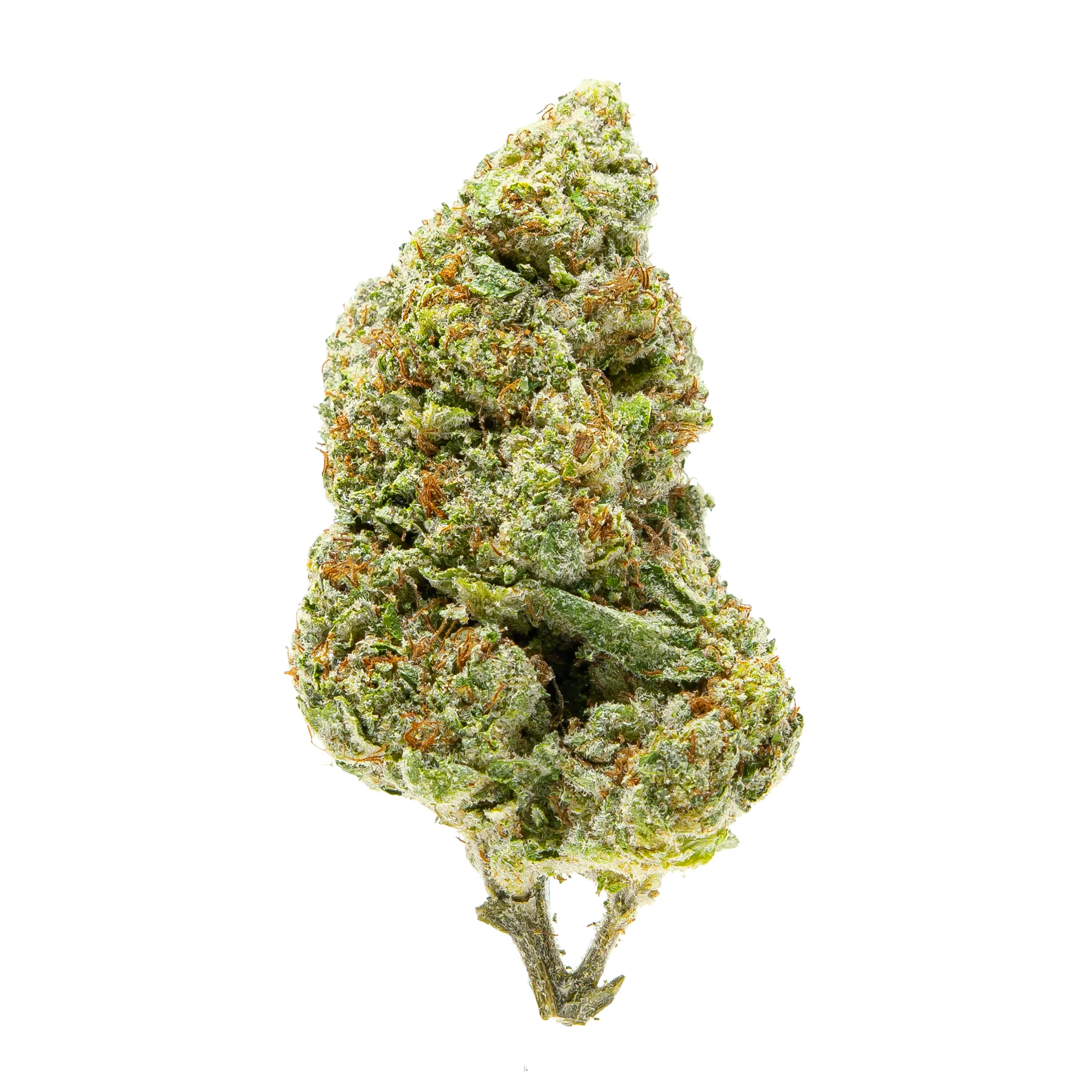 Gold Spectrum- Guava Tangie (7G) Sativa