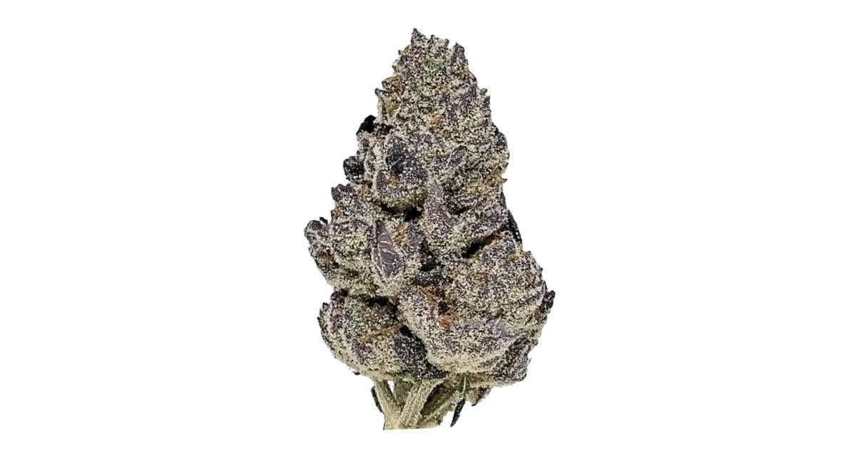 Bodega Boyz- Vice City (3.5G) S(Hybrid)