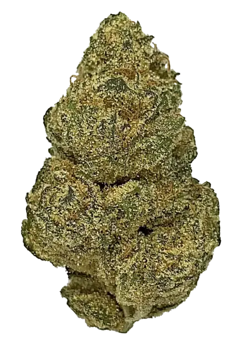Bodega Boyz- Devil's Diesel (1G) Sativa